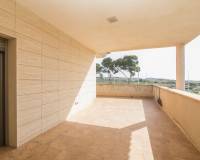 Sale - Single family house - Torrellano - Centro