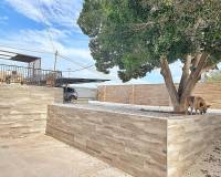 Sale - Single family house - Torrellano