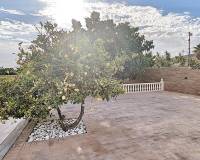 Sale - Single family house - Torrellano