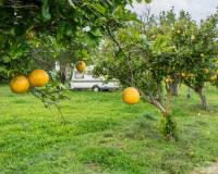 Sale - Unique property - Chiclana de la Frontera - Las Lagunas - Campano