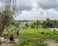 Sale - Unique property - Chiclana de la Frontera - Las Lagunas - Campano