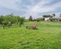 Sale - Unique property - Chiclana de la Frontera - Las Lagunas - Campano