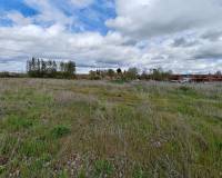 Sale - Urban Plot of land - Dueñas - Castilla y leon