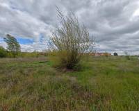 Sale - Urban Plot of land - Dueñas - Castilla y leon
