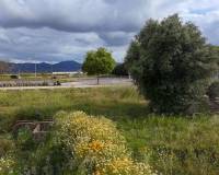 Sale - Urban Plot of land - L'Alcudia de Crespins - Comunidad valenciana