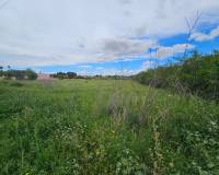 Sale - Urban Plot of land - Valverde (Alicante) - Valverde