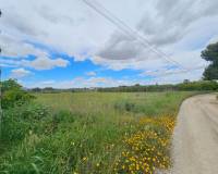 Sale - Urban Plot of land - Valverde (Alicante) - Valverde