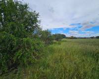 Sale - Urban Plot of land - Valverde (Alicante) - Valverde