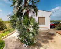 Sale - Villa - Albatera - Partida del Moco