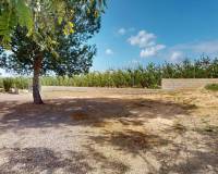 Sale - Villa - Albatera - Partida del Moco