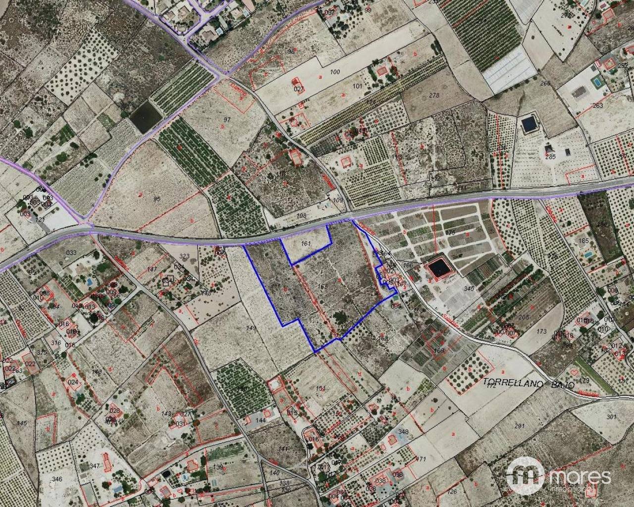 Terreno rural - Venta - Elche pedanias - 01344