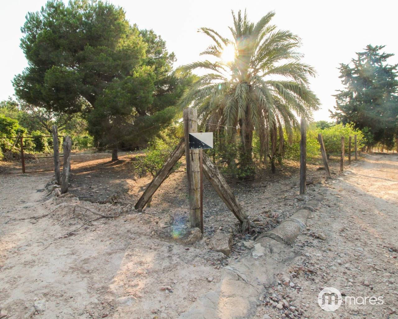 Terreno rural - Venta - Elche pedanias - LA MARINA