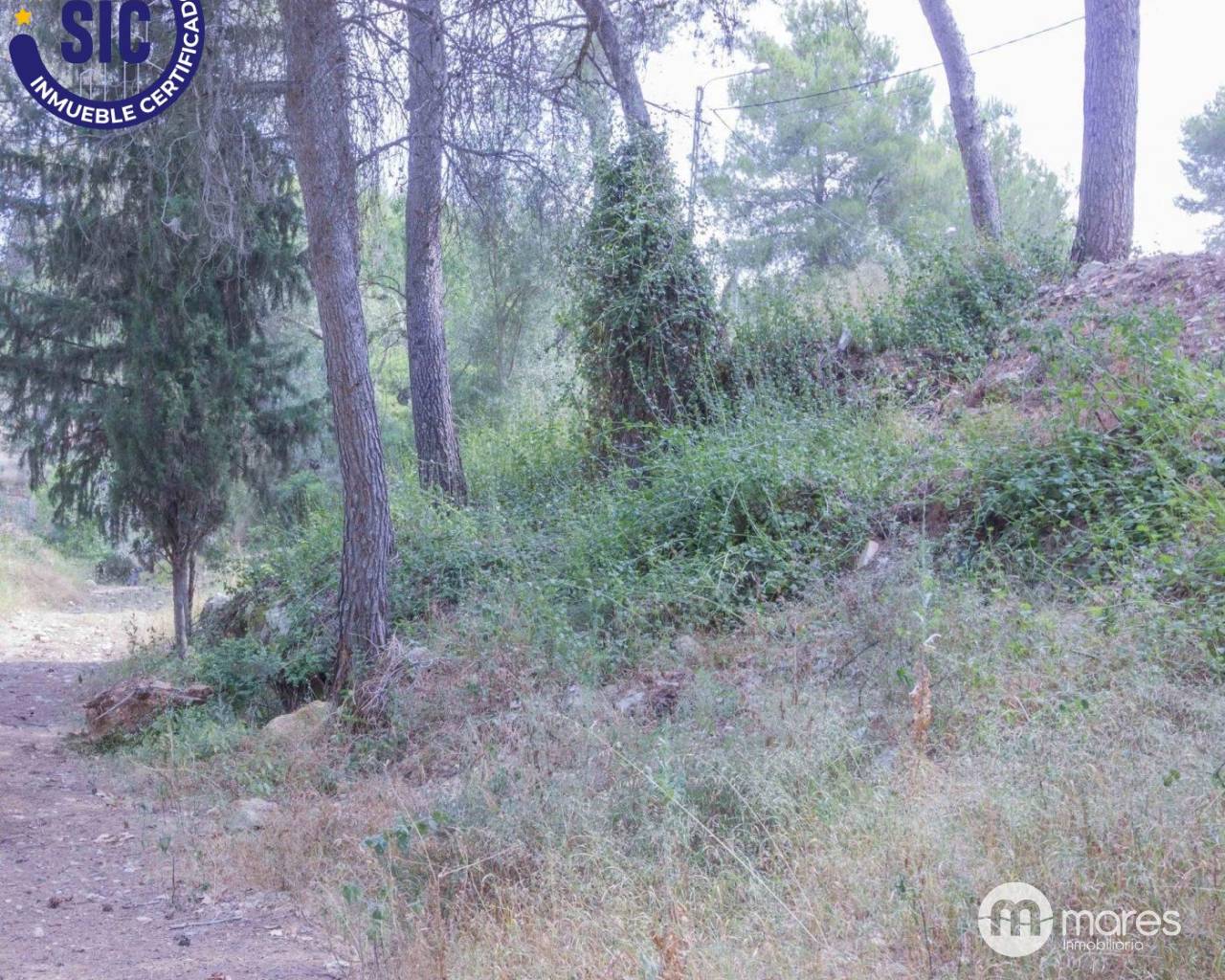 Terreno urbanizable - Venta - Godelleta - Calicanto