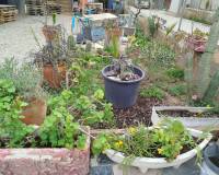 Venta - Casa con terreno - Sangonera la Seca