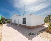 Venta - Casa de campo - Elche - Carrus