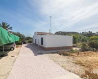 Venta - Casa de campo - Elche - Carrus