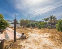 Venta - Casa de campo - Elche - Carrus