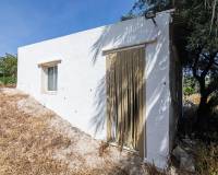 Venta - Casa de campo - Elche - Carrus