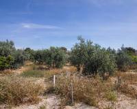 Venta - Casa de campo - Elche - Carrus
