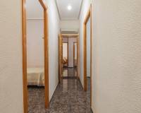 Venta - Casa de campo - Elche - Carrus