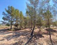 Venta - Casa de campo - Elda - Las Trescientas - San Francisco