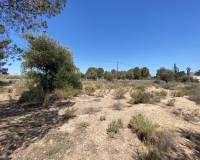 Venta - Casa de campo - Elda - Las Trescientas - San Francisco