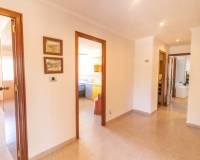 Venta - Casa - Elche pedanias - Alzabares
