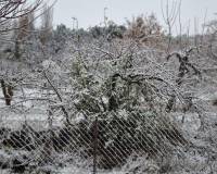 Venta - Casa - Riopar - Castilla la mancha