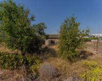 Venta - Chalet - Albatera - Partida del Moco