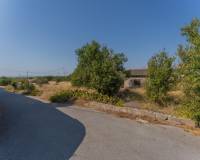 Venta - Chalet - Albatera - Partida del Moco
