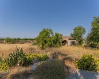 Venta - Chalet - Albatera - Partida del Moco