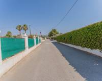 Venta - Chalet - Albatera - Partida del Moco