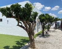 Venta - Chalet - Chiclana de la Frontera - Las Lagunas - Campano