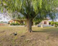 Venta - Chalet - Crevillent - Comunidad valenciana