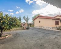 Venta - Chalet - Crevillent - Comunidad valenciana