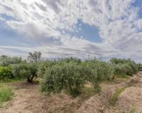 Venta - Chalet - Crevillent - DERRAMADOR