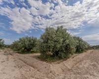 Venta - Chalet - Crevillent - DERRAMADOR