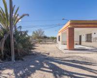Venta - Chalet - Elche - Carrus