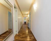 Venta - Chalet - Elche - Ciudad Jardin