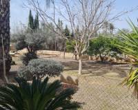 Venta - Chalet - Elche pedanias - Algoda