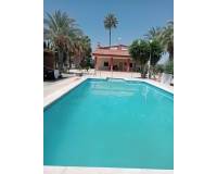 Venta - Chalet - Elche pedanias - Algoda
