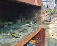 Venta - Chalet - Elche pedanias - Algoda