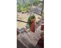 Venta - Chalet - Elche pedanias - Algoda