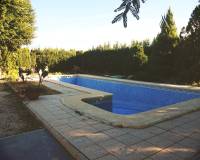 Venta - Chalet - Elche pedanias - Alzabares