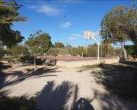 Venta - Chalet - Elche pedanias - Alzabares