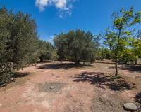 Venta - Chalet - Elche pedanias - Alzabares