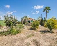 Venta - Chalet - Elche pedanias - Alzabares