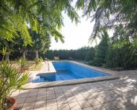 Venta - Chalet - Elche pedanias - Alzabares