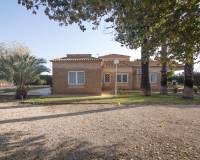 Venta - Chalet - Elche pedanias - Alzabares