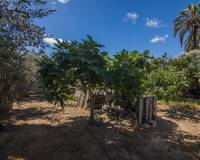 Venta - Chalet - Elche pedanias - Alzabares